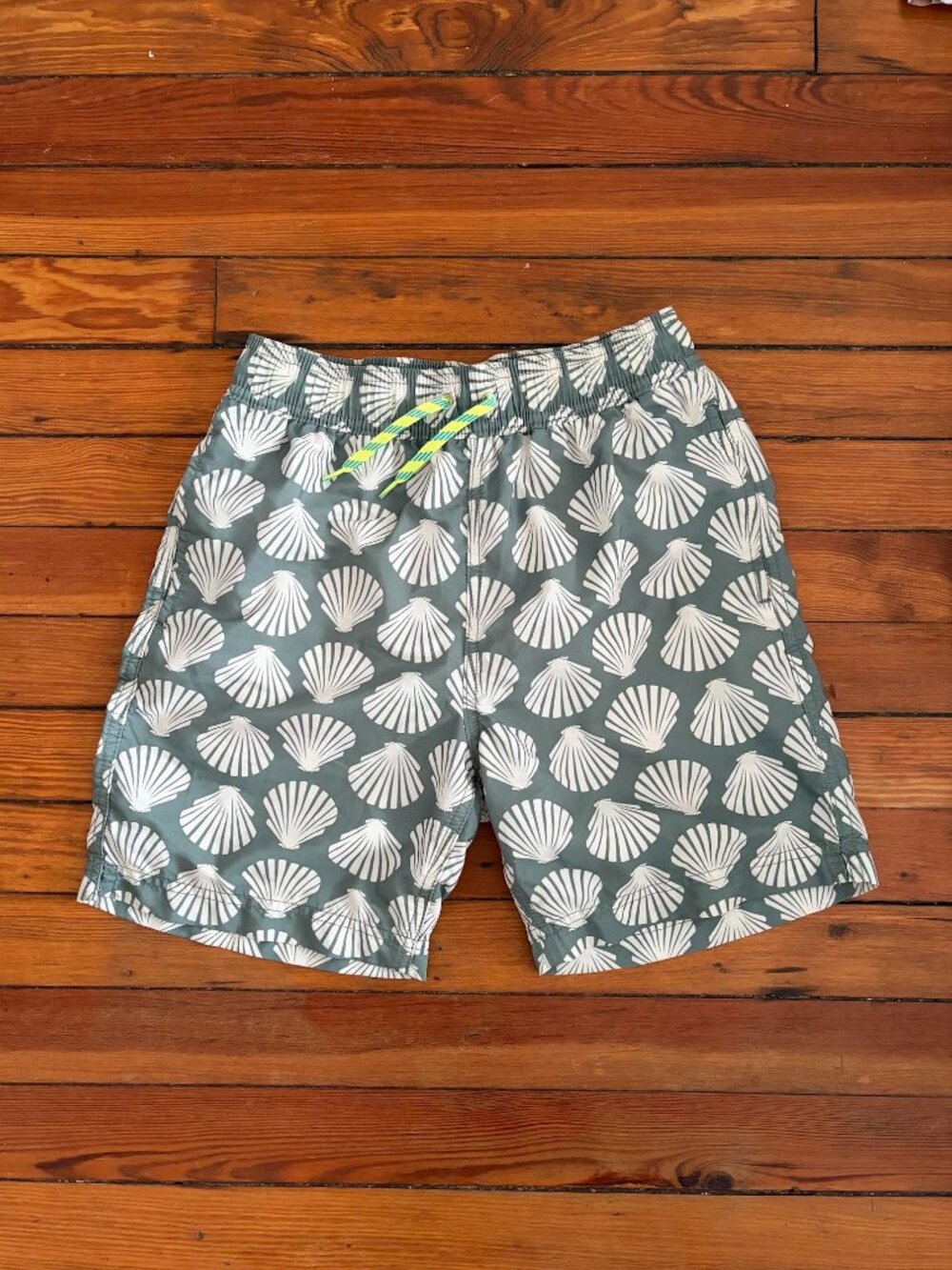 Crewcuts Boy's Size 12 Shell Print Motif Green Swim Trunk Shorts
